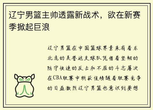 辽宁男篮主帅透露新战术，欲在新赛季掀起巨浪
